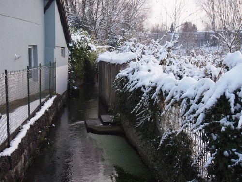 Au fil de l'eau du fossé entourant le Vieux Brunstatt