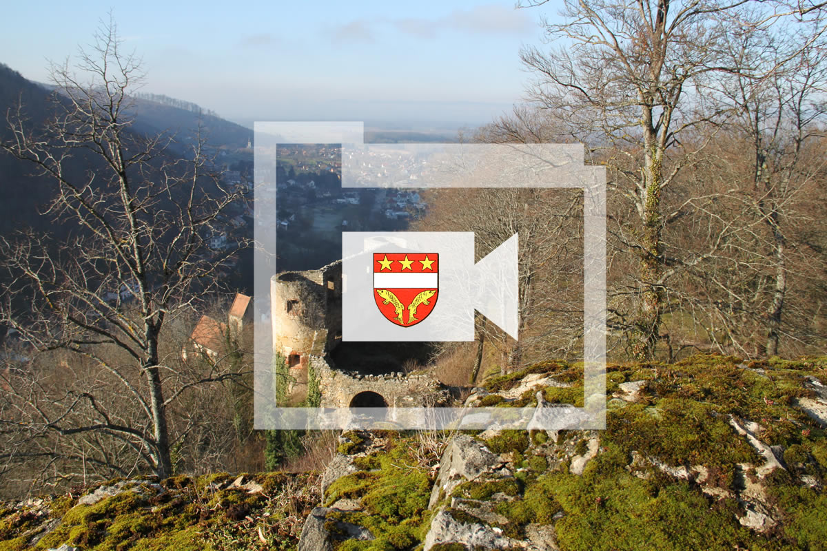 Vidéos historiques du Sundgau